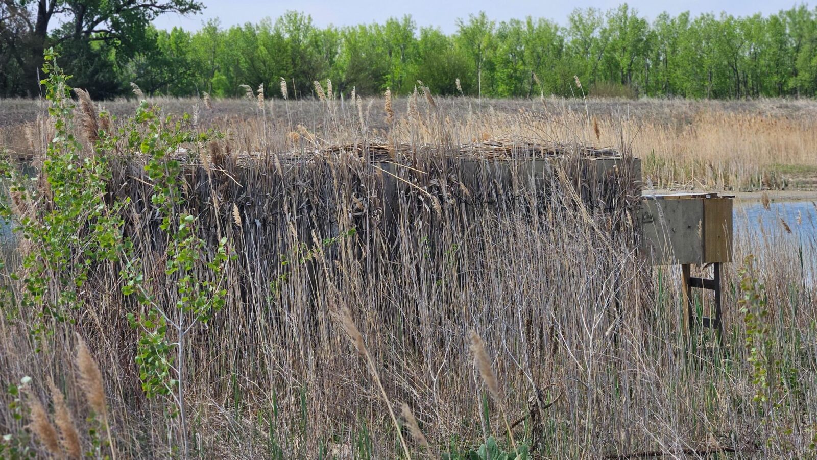 60 Acres, Fowl Weather Waterfowl Paradise