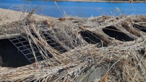 60 Acres, Fowl Weather Waterfowl Paradise