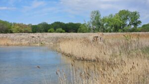60 Acres, Fowl Weather Waterfowl Paradise