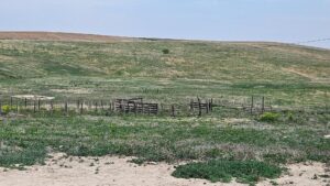 Buffalo County nebraska land for sale