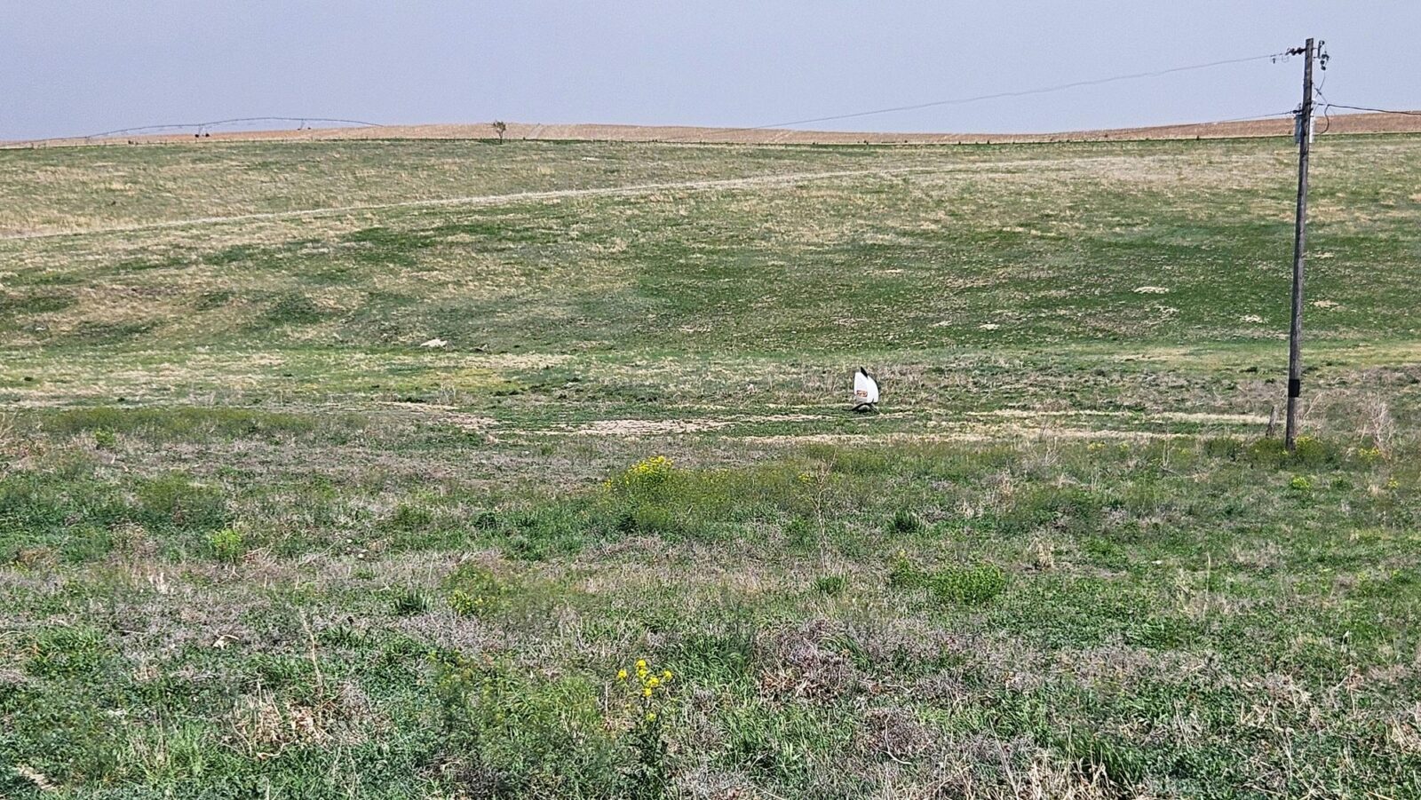 Buffalo County nebraska land for sale