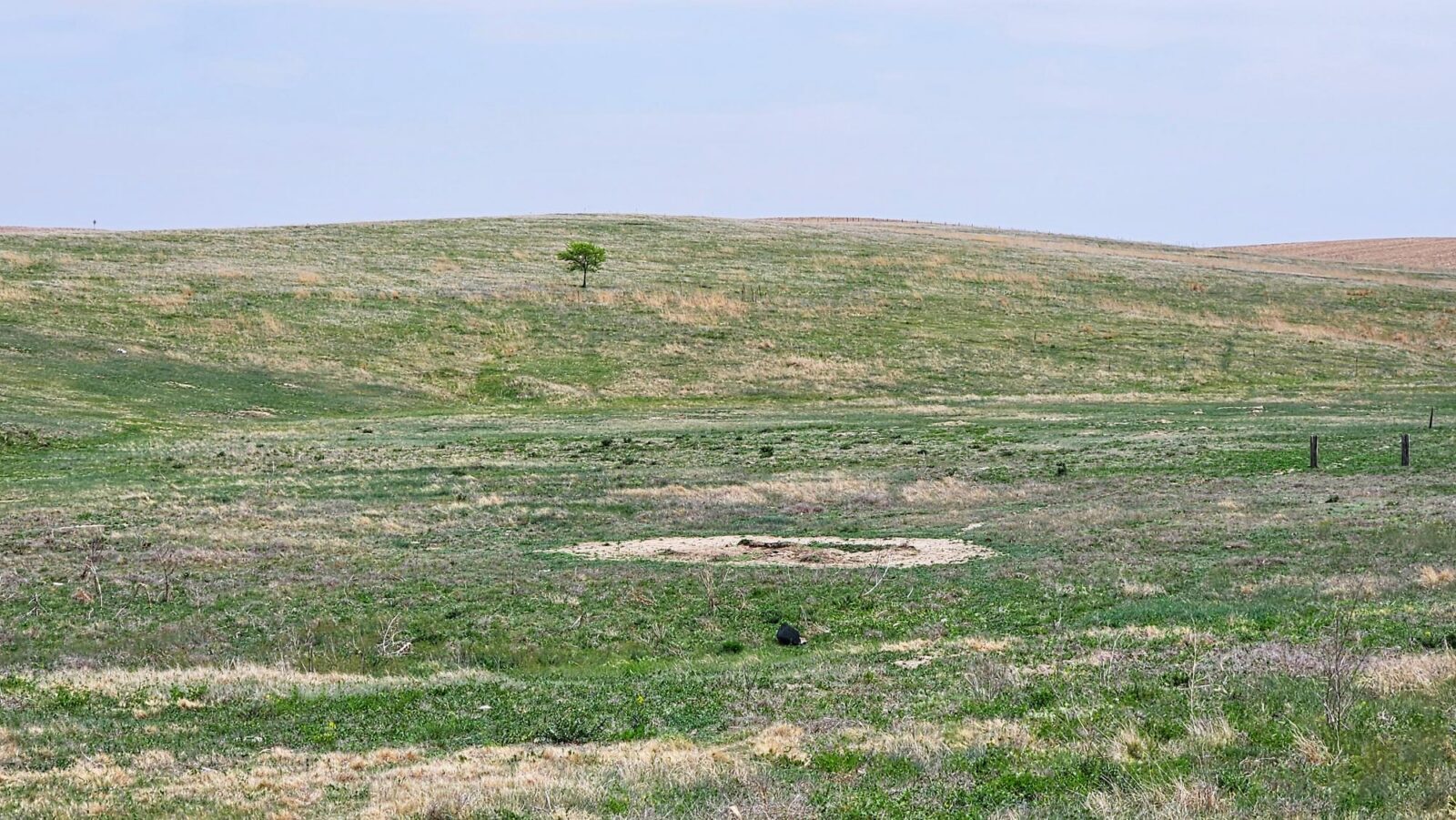 Buffalo County nebraska land for sale