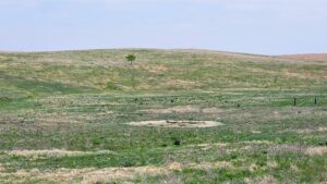 Buffalo County nebraska land for sale