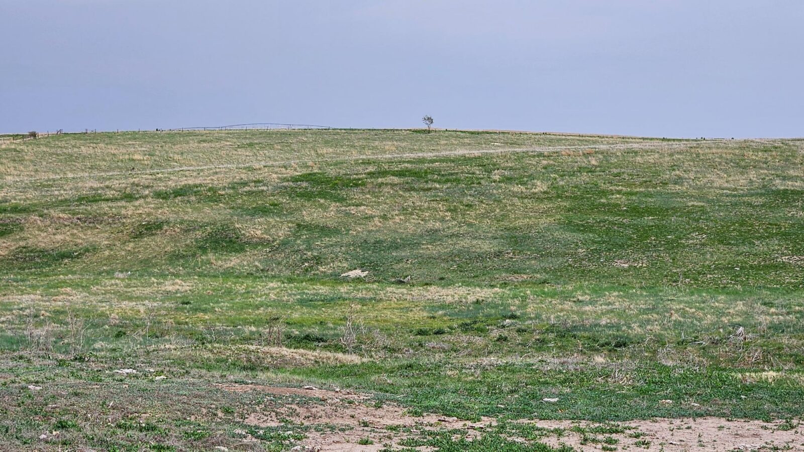 Buffalo County nebraska land for sale