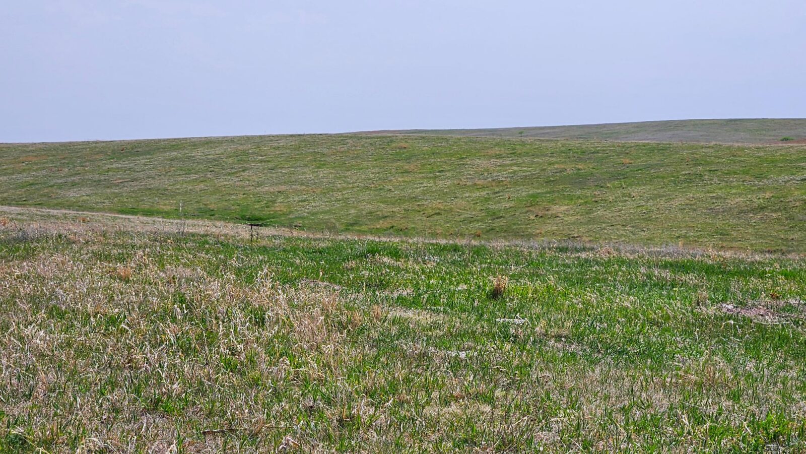 Buffalo County nebraska land for sale