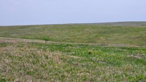 Buffalo County nebraska land for sale