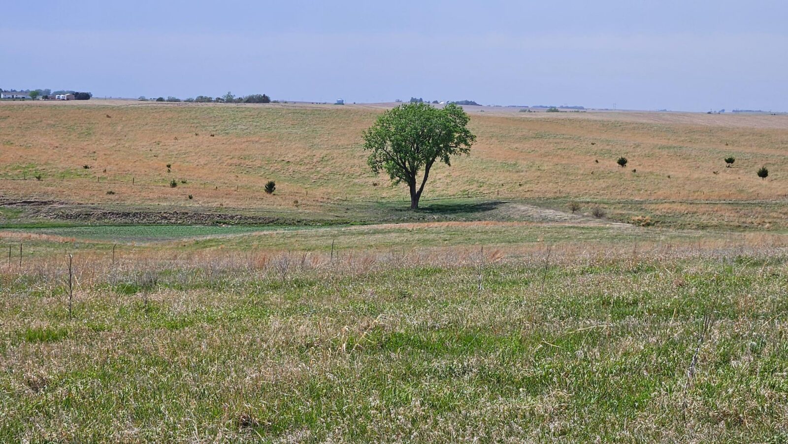 Buffalo County nebraska land for sale