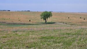 Buffalo County nebraska land for sale