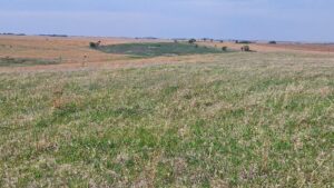 Buffalo County nebraska land for sale