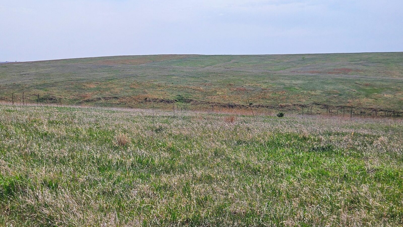 Buffalo County nebraska land for sale