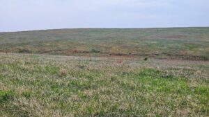 Buffalo County nebraska land for sale