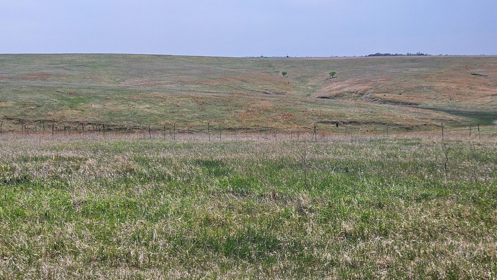Buffalo County nebraska land for sale