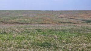 Buffalo County nebraska land for sale