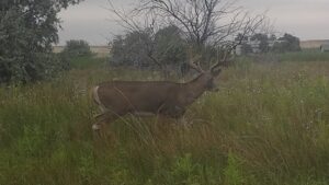 Waterfowl hunting property for sale Nebraska