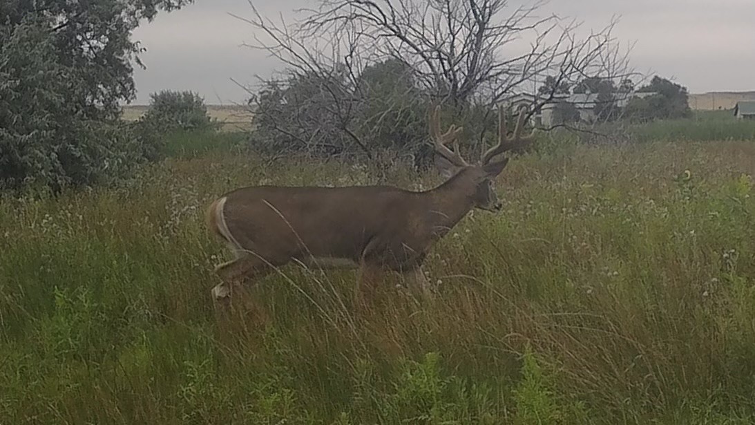 Waterfowl hunting property for sale Nebraska