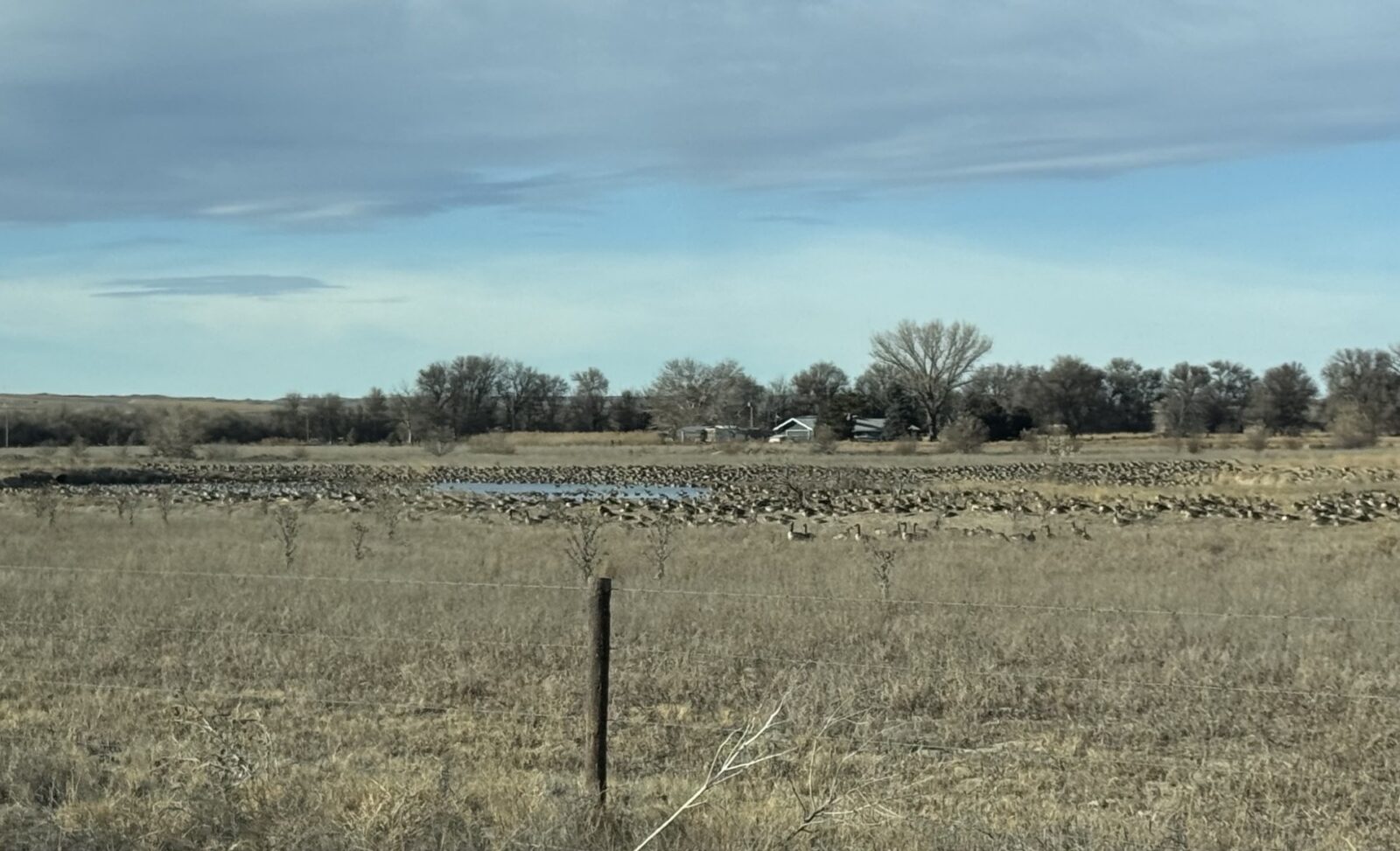 277 Acres, Prairie Springs Waterfowl Ranch