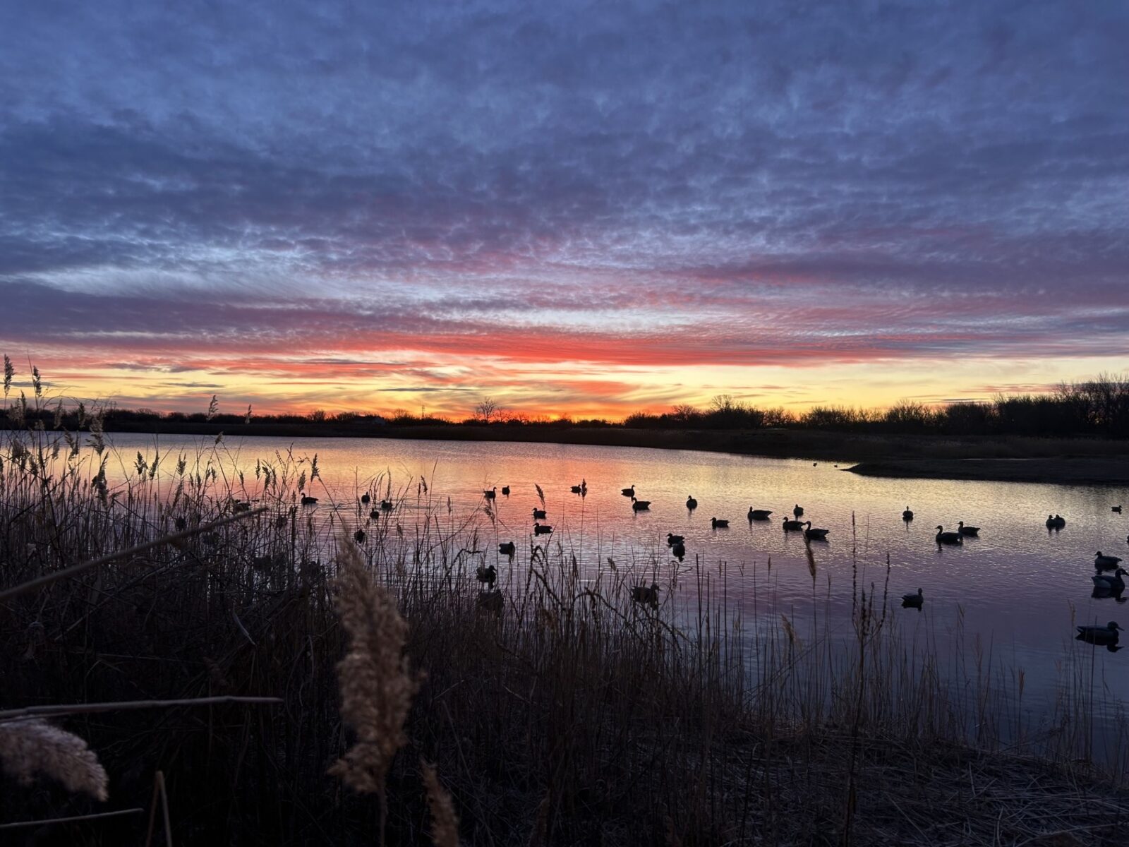 Waterfowl hunting land for sale Nebraska