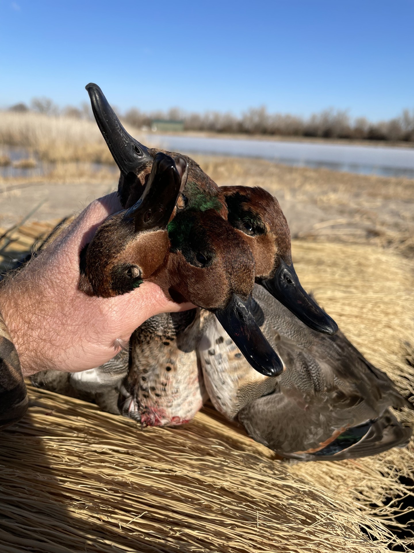 60 Acres, Fowl Weather Waterfowl Paradise
