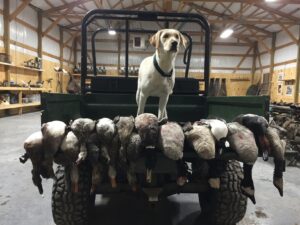 60 Acres, Fowl Weather Waterfowl Paradise