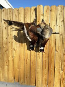 Waterfowl hunting property for sale Nebraska