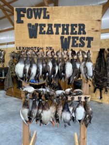 60 Acres, Fowl Weather Waterfowl Paradise