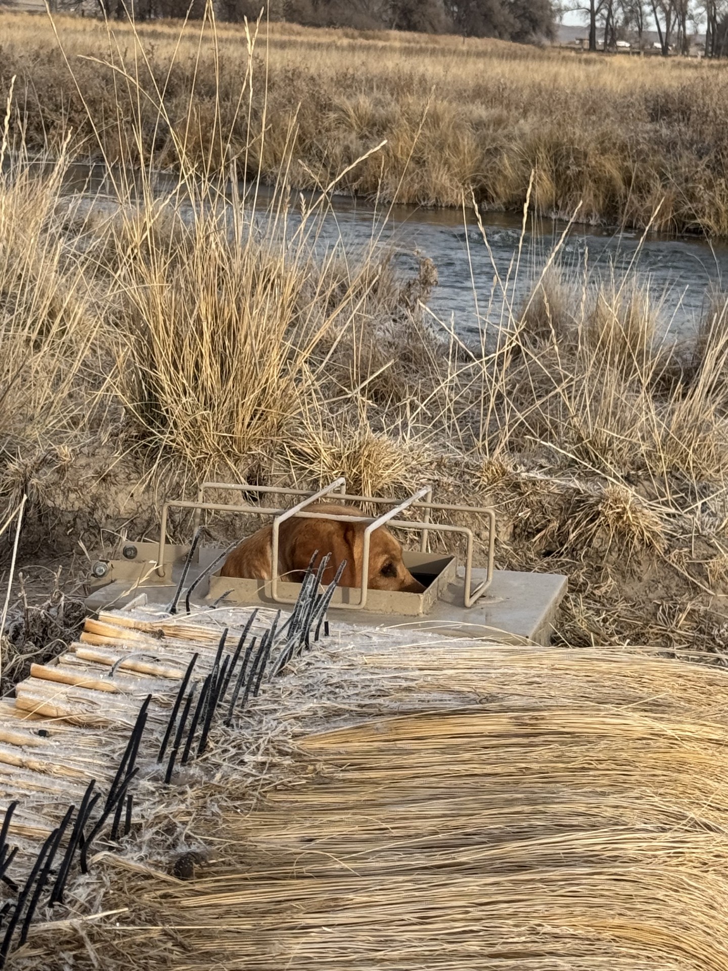 Waterfowl hunting property for sale Nebraska