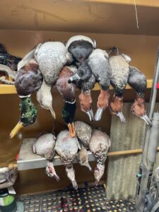 60 Acres, Fowl Weather Waterfowl Paradise