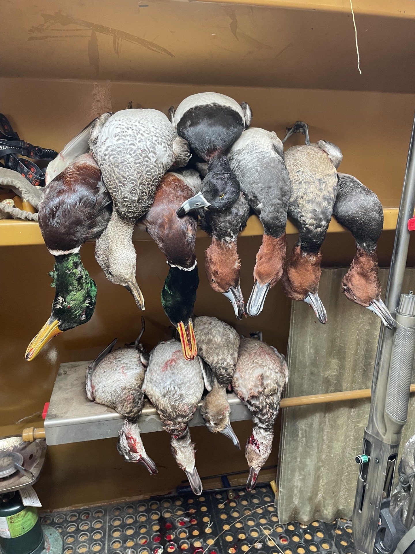 60 Acres, Fowl Weather Waterfowl Paradise