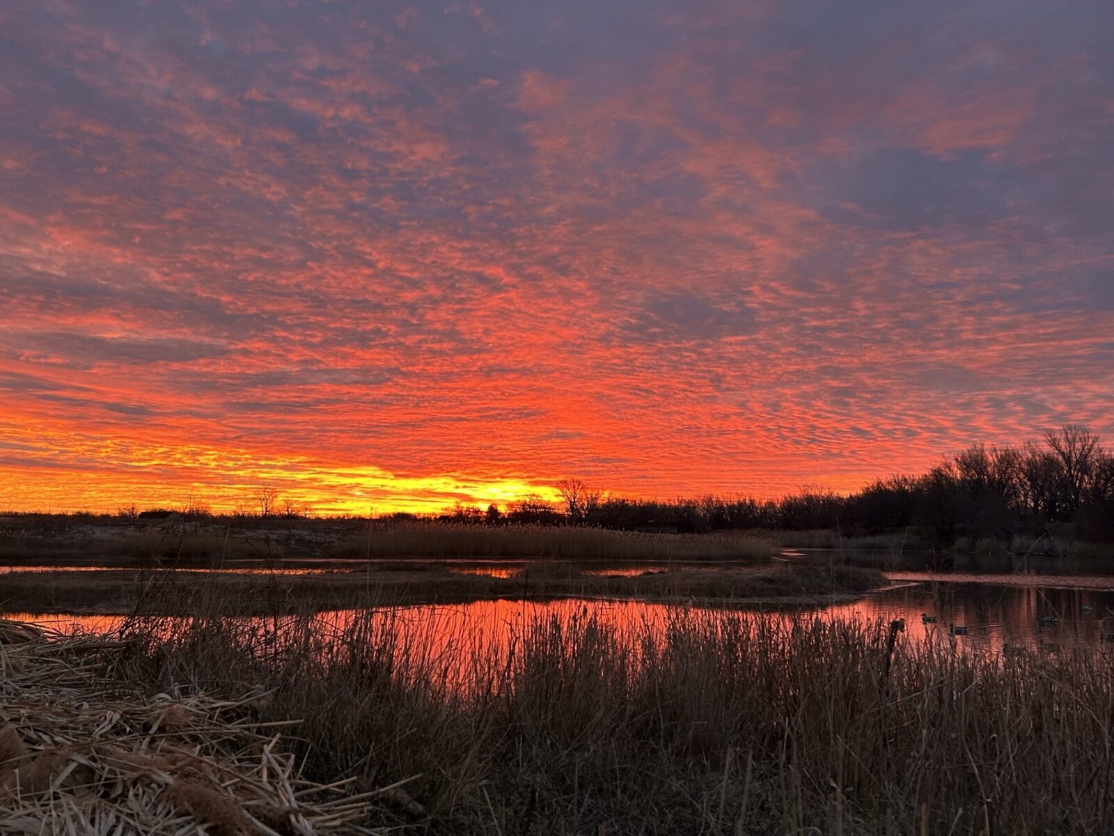 Waterfowl hunting land for sale Nebraska