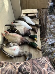 60 Acres, Fowl Weather Waterfowl Paradise