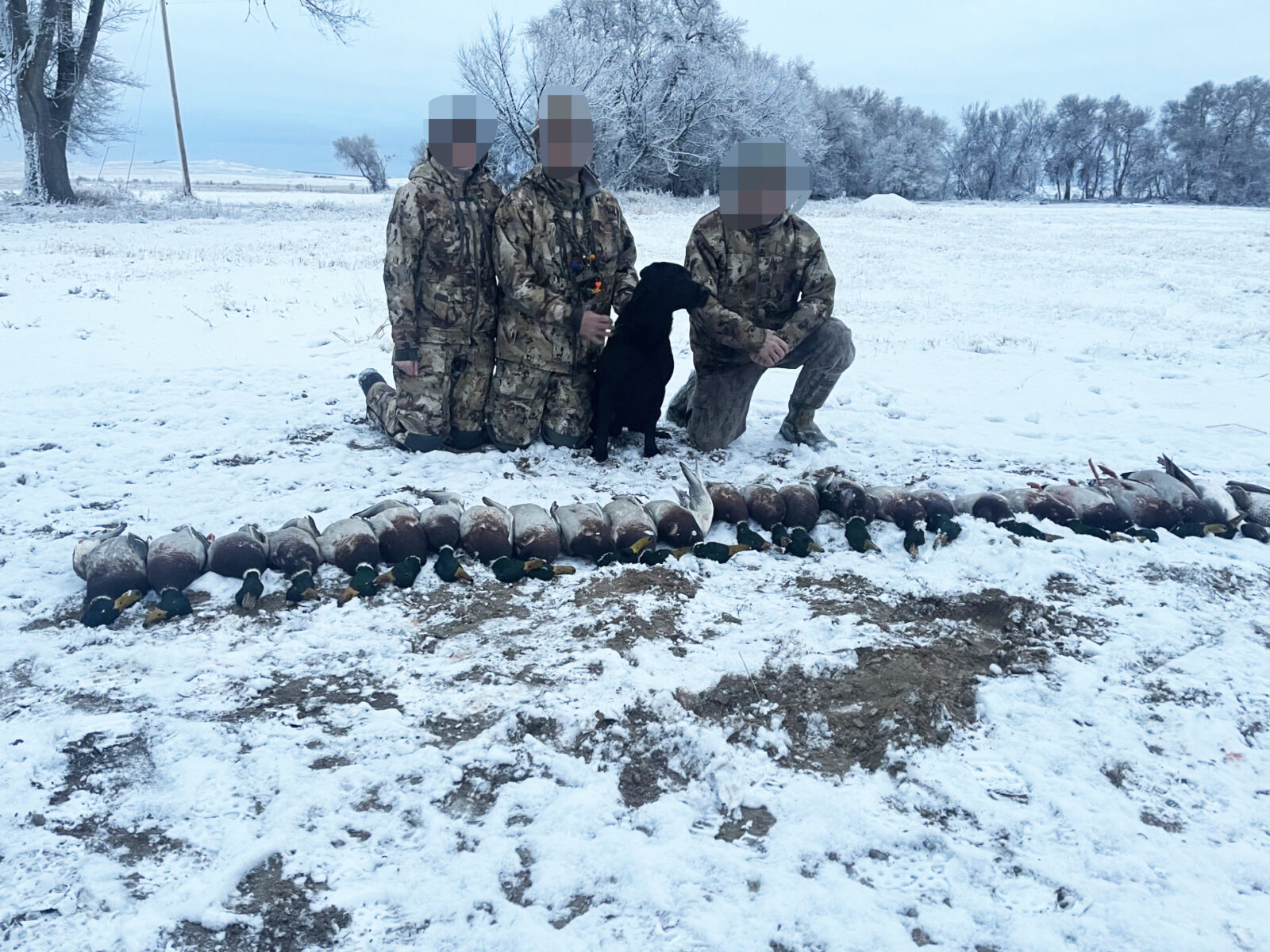 Waterfowl hunting property for sale Nebraska