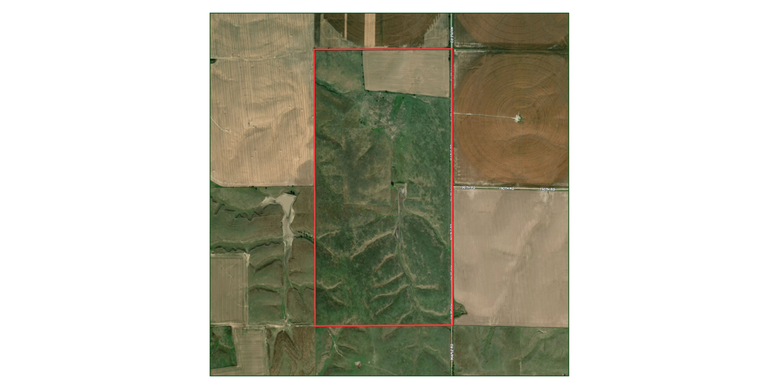 316 Acres, Buffalo County Pature and Dryland