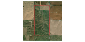 316 Acres, Buffalo County Pature and Dryland