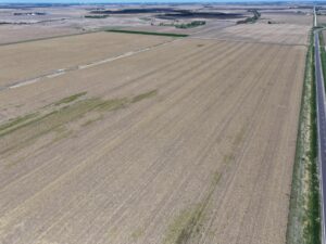 adams county nebraska farm for sale