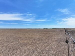 Big Springs, Nebraska pivot irrigated farm for sale