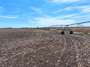 Big Springs, Nebraska pivot irrigated farm for sale