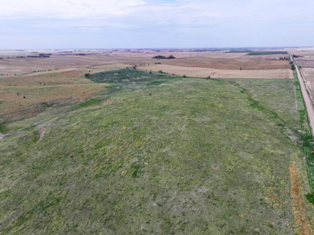 316 Acres, Buffalo County Pature and Dryland  