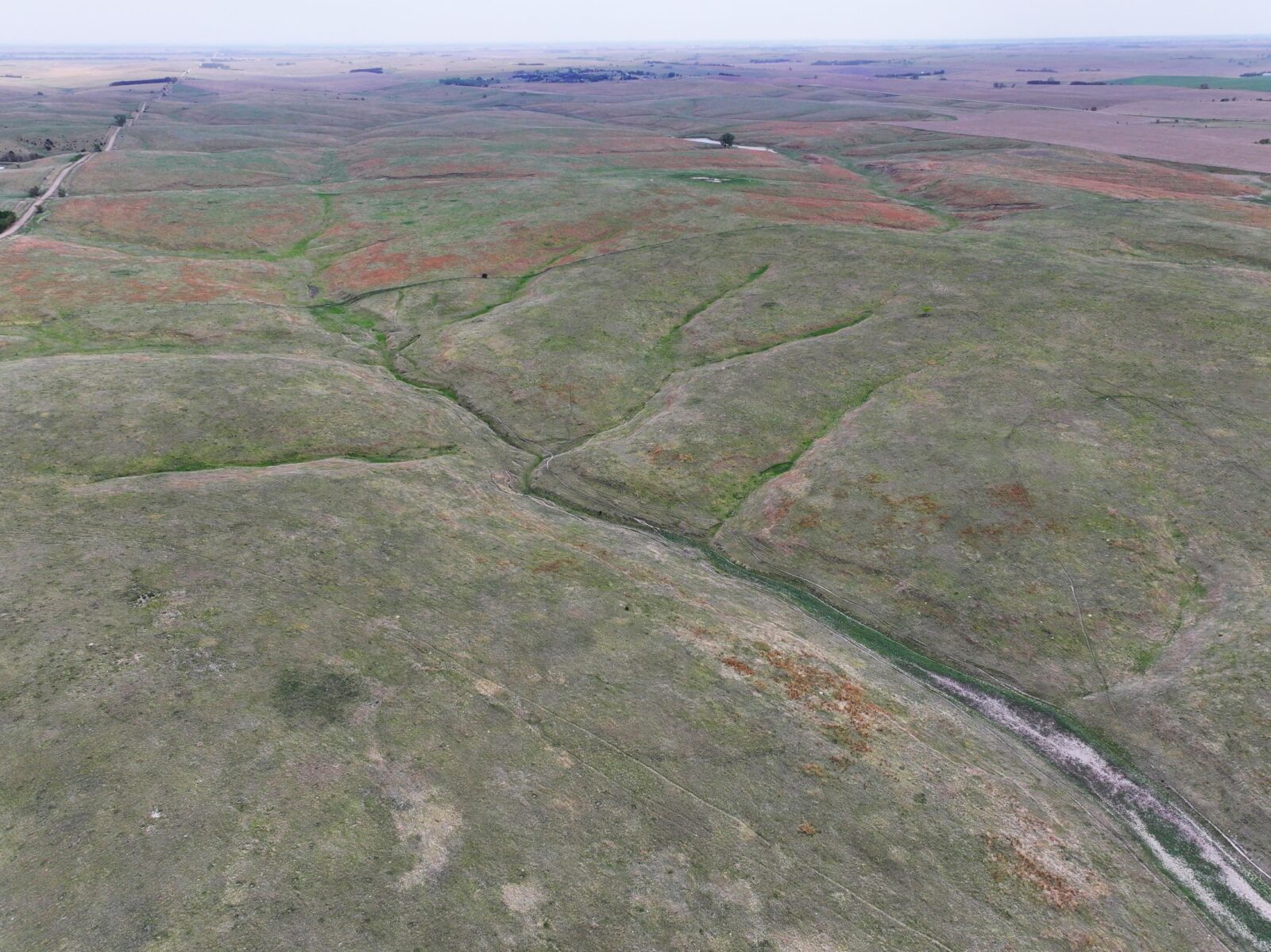 Buffalo County nebraska land for sale