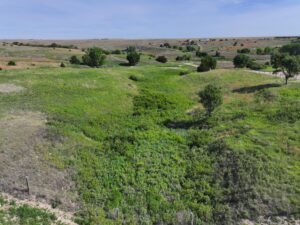 Trenton, NE home for sale