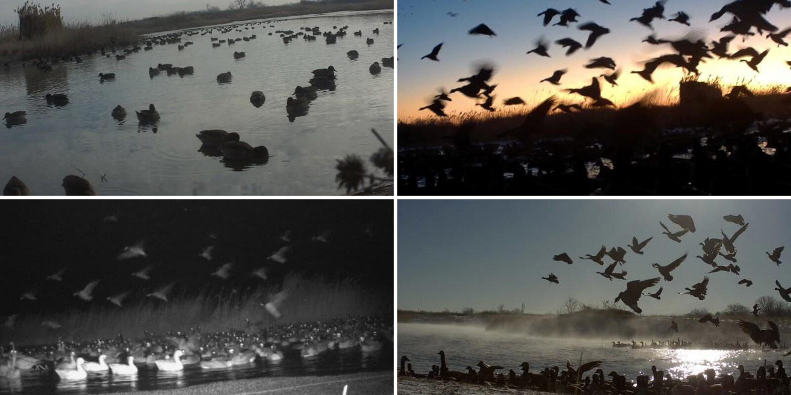 60 Acres, Fowl Weather Waterfowl Paradise