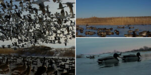 60 Acres, Fowl Weather Waterfowl Paradise