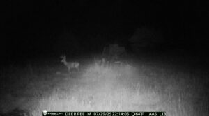 Maxwell Nebraska Lincoln County hunting land for sale