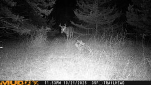 Maxwell Nebraska Lincoln County hunting land for sale
