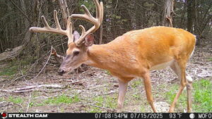 Maxwell Nebraska Lincoln County hunting land for sale