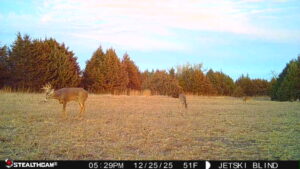 Maxwell Nebraska Lincoln County hunting land for sale