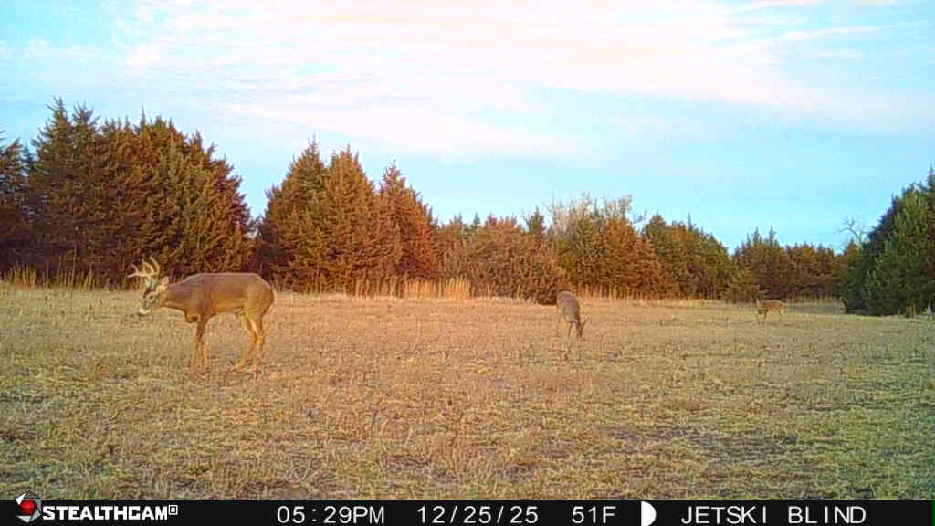 Maxwell Nebraska Lincoln County hunting land for sale
