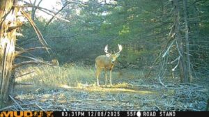 112 Acres, Maxwell Lake Retreat and Hunting