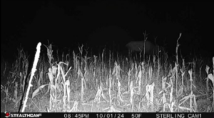 Maxwell Nebraska Lincoln County hunting land for sale