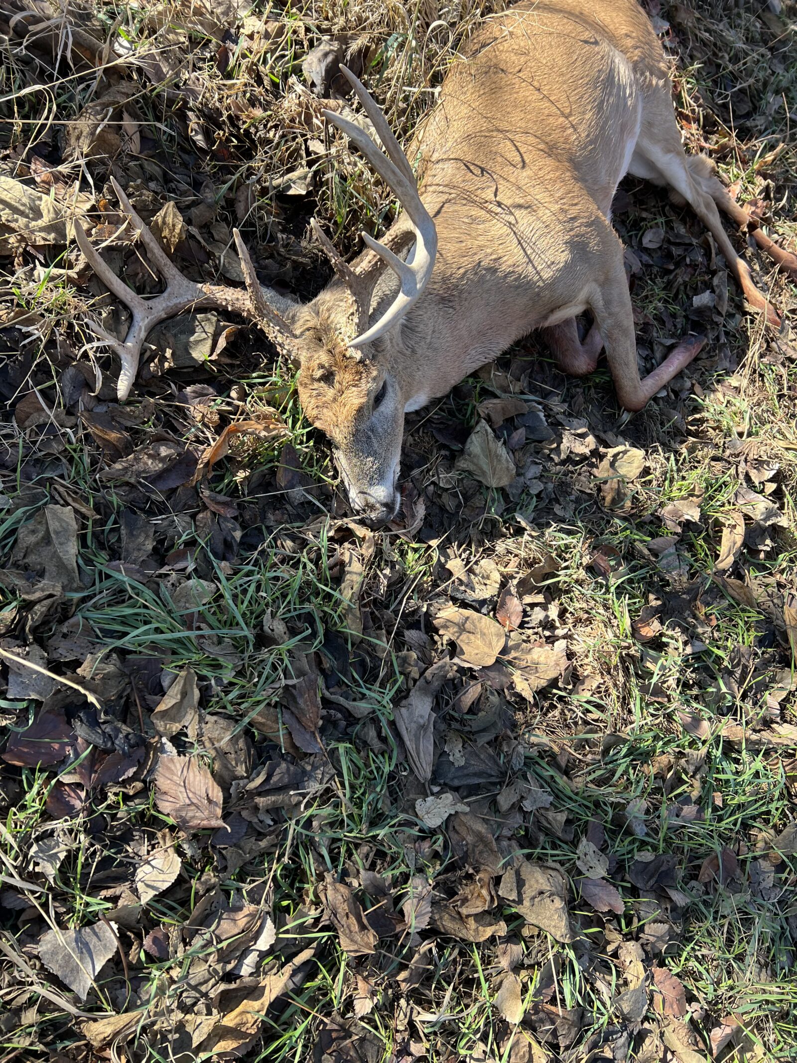 112 Acres, Maxwell Lake Retreat and Hunting