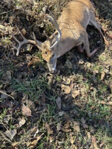 112 Acres, Maxwell Lake Retreat and Hunting